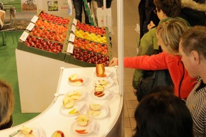 Degustacja nowych odmian jabłoni AJAPPLE