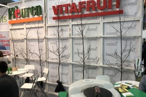 Szkółka - Vitafruit [Włochy]