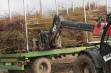 Wykopywanie drzewek w szk&oacute;łce Grzegorza Sękowskiego