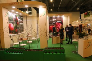 Szk&oacute;łka Jankowski i Syn