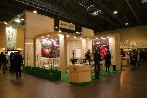 Szk&oacute;łka Jankowski i Syn