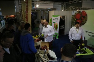 Szk&oacute;łka - Sułek