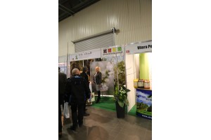 Szk&oacute;łka - Van Rijn-de Bruyn 