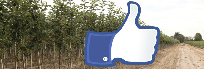 Lubię to &ndash; czyli szk&oacute;łki na Facebook-u