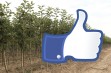 Lubię to &ndash; czyli szk&oacute;łki na Facebook-u