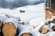Święta Bożego Narodzenia nie przyniosą zimowej pogody