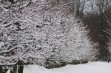 Mroźny początek roku