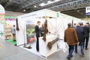 Poprzednie edycje TSW 