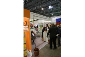 Poprzednie edycje TSW 