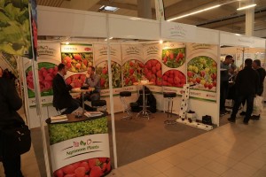 Agronom Plants - sadzonki truskawki, maliny, jeżyny i bor&oacute;wki