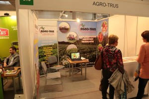 Agro-Trus - sadzonki truskawki (doniczkowe, zielone, frigo)