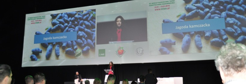 Jagoda kamczacka &ndash; perspektywy uprawy w Polsce 
