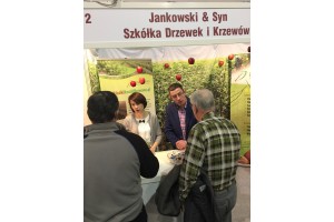 Jankowski i Syn - Szk&oacute;łka Drzewek i Krzew&oacute;w