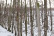 Chłodny i deszczowy początek marca