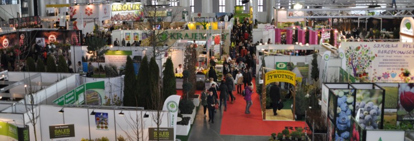 Gardenia 2016 po szk&oacute;łkarsku  