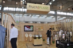 Fructoplant &ndash; In My Garden