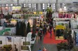 Gardenia 2016 po szk&oacute;łkarsku  