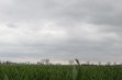 Ochłodzenie i deszcz w najbliższych dniach
