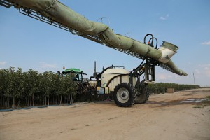 Szk&oacute;łka Andrzej i Szymon Nowakowscy (Żdżary)