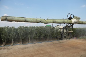 Szk&oacute;łka Andrzej i Szymon Nowakowscy (Żdżary)