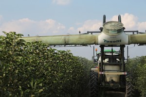 Szk&oacute;łka Andrzej i Szymon Nowakowscy (Żdżary)