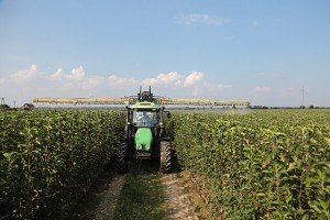 Szk&oacute;łka Andrzej i Szymon Nowakowscy (Żdżary)