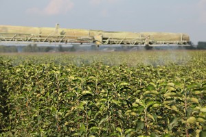 Szk&oacute;łka Andrzej i Szymon Nowakowscy (Żdżary)