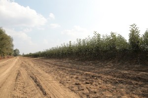Widok szk&oacute;łki - Jankowski i Syn
