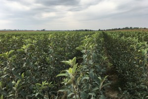 Szk&oacute;łka Marek Bielak i Synowie, Zag&oacute;rze