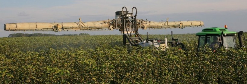 Małoobszarowe zastosowanie środk&oacute;w ochrony roślin