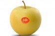 Nowa żółta odmiana jabłoni - Shinano Gold
