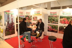 Poprzednie edycje TSW