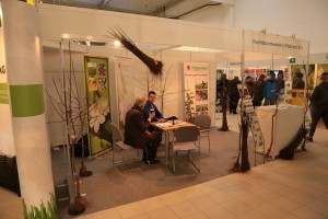 Poprzednie edycje TSW