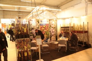 Poprzednie edycje TSW