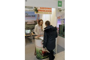 Agro-Trus - sadzonki truskawek (doniczkowe, zielone, frigo)