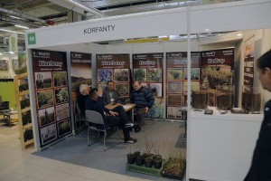 Korfanty Gospodarstwo Szk&oacute;łkarskie - sadzonki bor&oacute;wki amerykańskiej