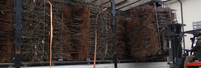 PIORiN: Dostawco &ndash; uaktualnij sw&oacute;j wpis do ewidencji