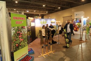 Szk&oacute;łka Drzew i Krzew&oacute;w Owocowych - Przemysław Żabka / Fructoplant Sp. z o.o. podczas ubiegłorocznej edycji targ&oacute;w MTAS / FruitPRO