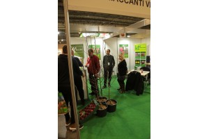 Szk&oacute;łka - Maccanti Vivai [Włochy] podczas ubiegłorocznej edycji targ&oacute;w MTAS / FruitPRO