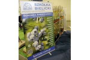 Szkółka Bielicki - krzewy owocowe