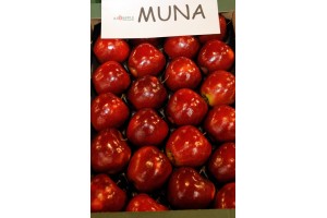 MTAS / FruitPro 2017 - Muna nowa odmiana AJAPPLE