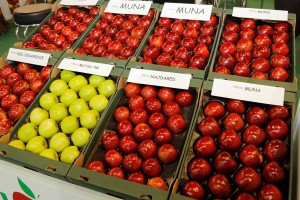 MTAS / FruitPro 2017 - odmiany AJAPPLE