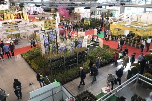 Targi GARDENIA - kt&oacute;re odbyły się w dniach 2-4 marca 2017 w Poznaniu