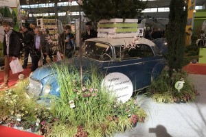 XI edycja Międzynarodowych Targ&oacute;w Ogrodnictwa i Architektury Krajobrazu GARDENIA 2017