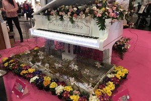 XI edycja Międzynarodowych Targ&oacute;w Ogrodnictwa i Architektury Krajobrazu GARDENIA 2017