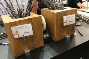 Fructoplant - oferował osobom odwiedzającym Anton&oacute;wkę lub Glostera 