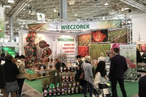 Gospodarstwo szk&oacute;łkarskie WIECZOREK - drzewka owocowe oraz r&oacute;że