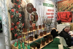 Gospodarstwo szk&oacute;łkarskie WIECZOREK - drzewka owocowe oraz r&oacute;że
