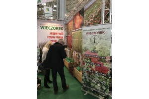 Gospodarstwo szk&oacute;łkarskie WIECZOREK - drzewka owocowe oraz r&oacute;że
