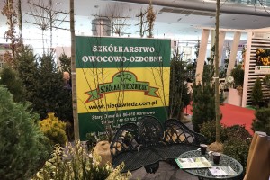 Szk&oacute;łkarstwo Owocowo-Ozdobne 